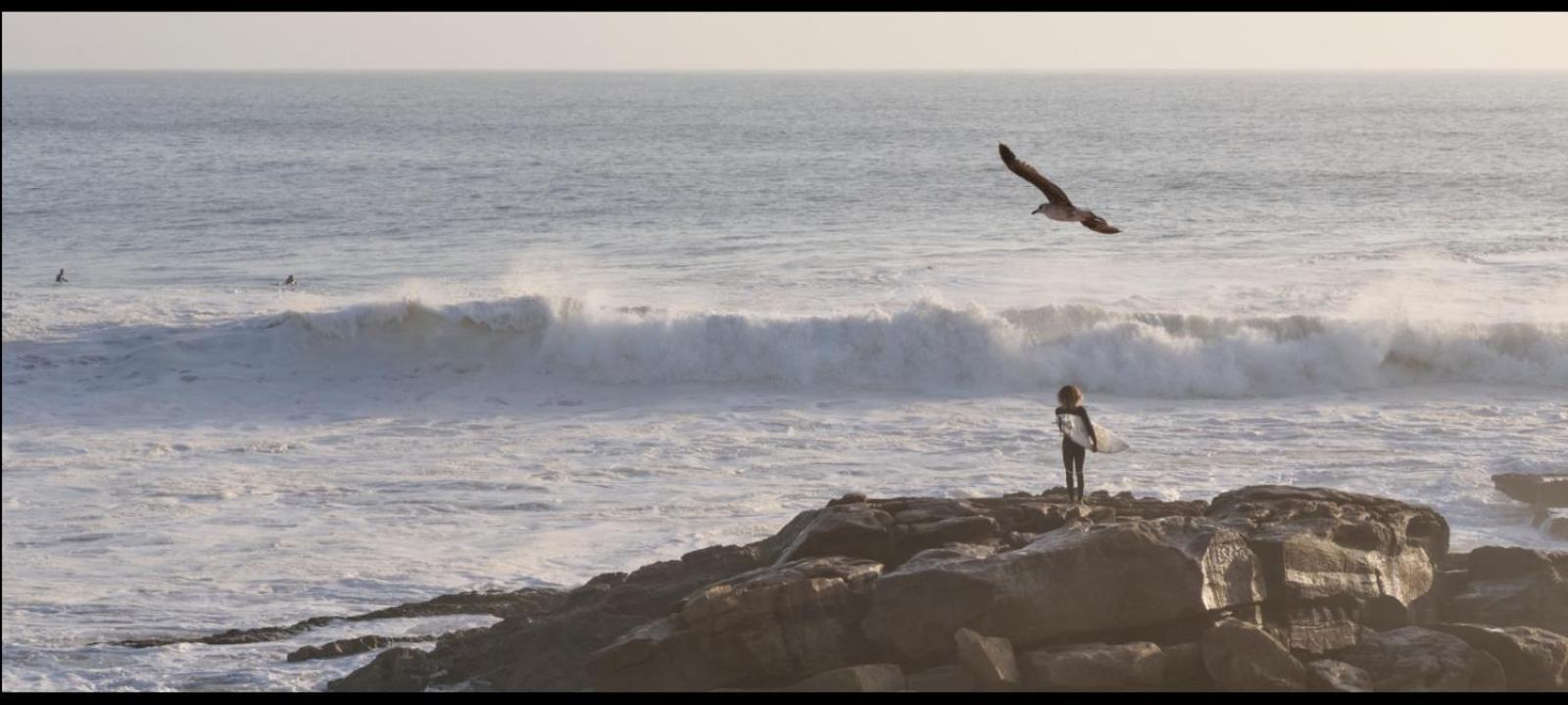Idriss Tamraght Surfhostel 塔哈佐特 外观 照片
