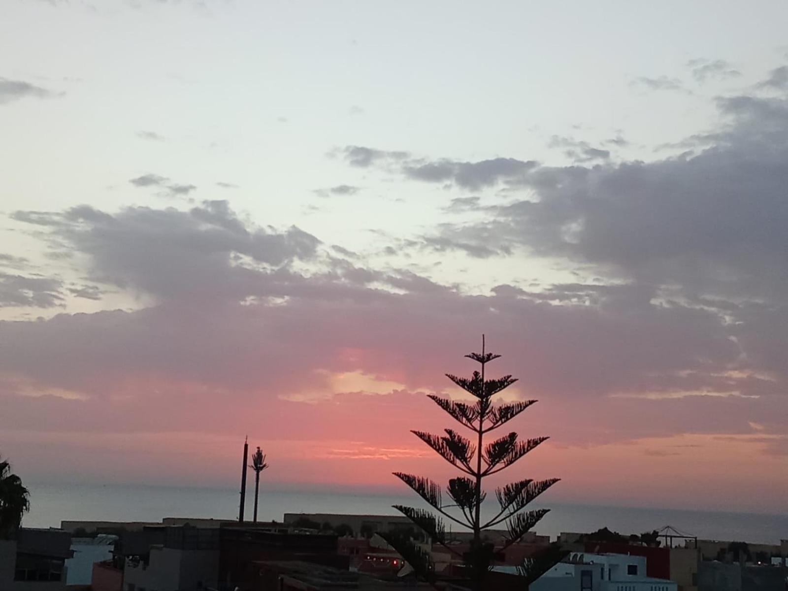 Idriss Tamraght Surfhostel 塔哈佐特 外观 照片